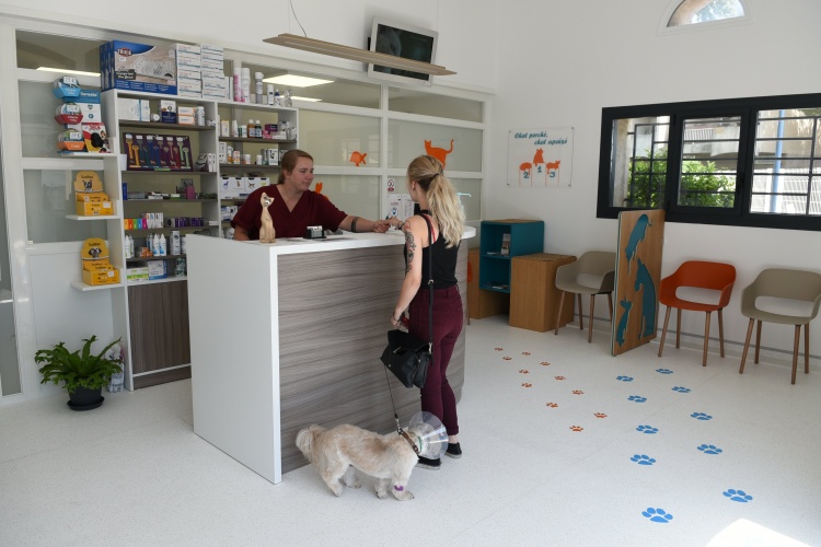 Salle d'attente de la Clinique Vétérinaire Maguelone