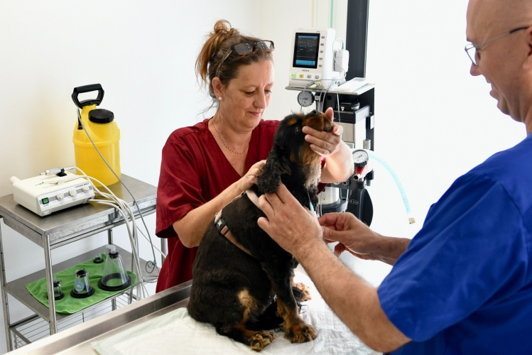 Espace d'hospitalisation de la clinique